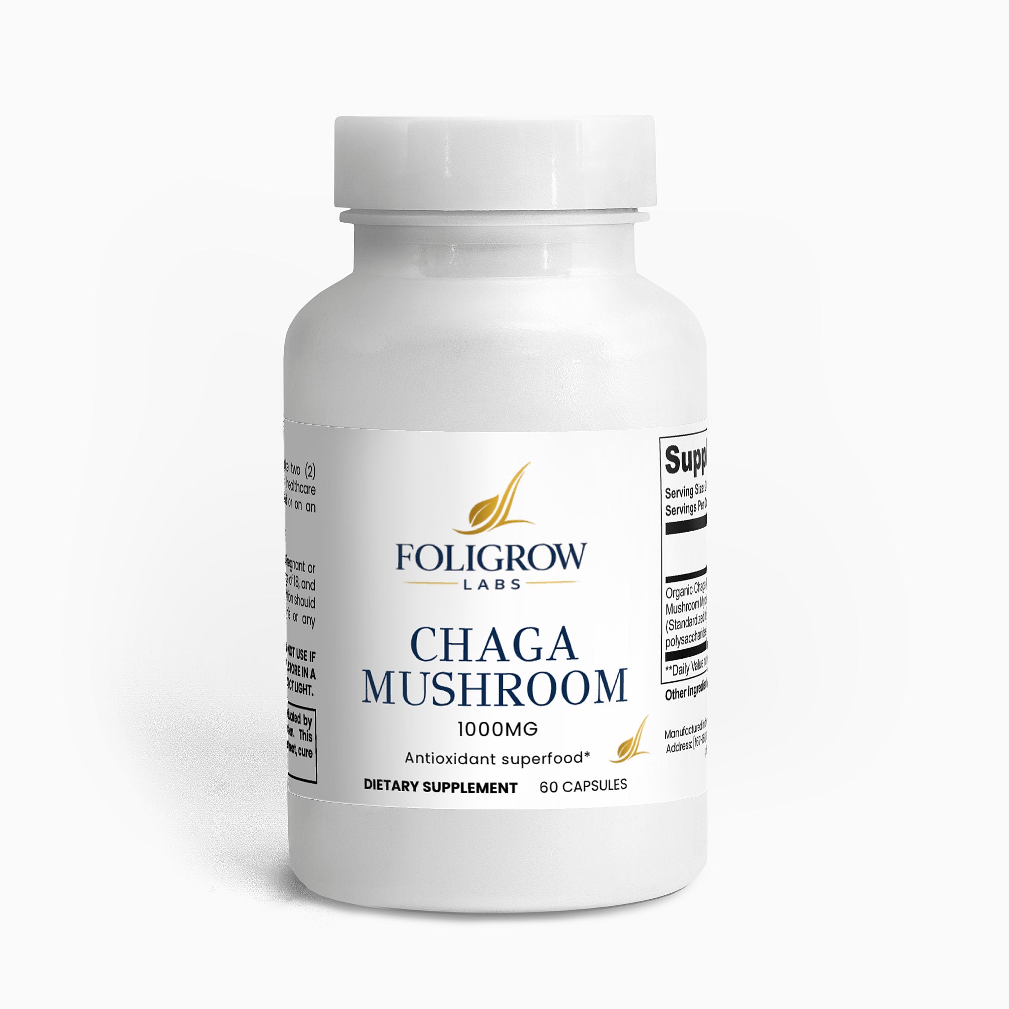 Chaga Mushroom